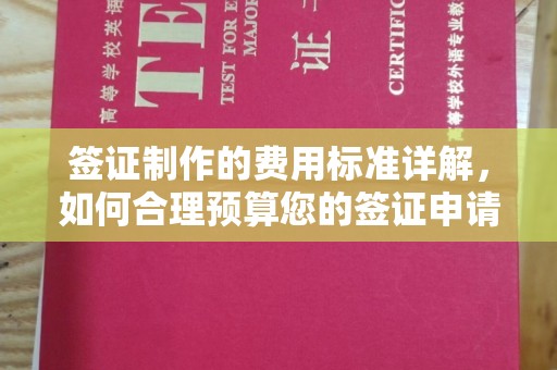 奉新签证制作的费用标准详解，如何合理预算您的签证申请成本